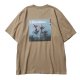 BEIGE__SBEIGE__