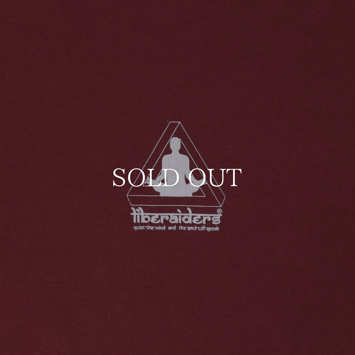 画像16: Liberaiders  QUIET MIND TEE (16)