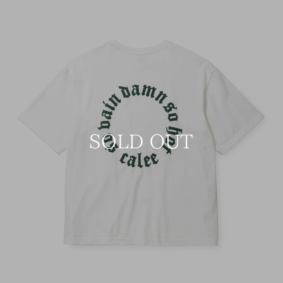 画像1: CALEE S.V.D.S.H DROP S/S POCKET TEE (1)