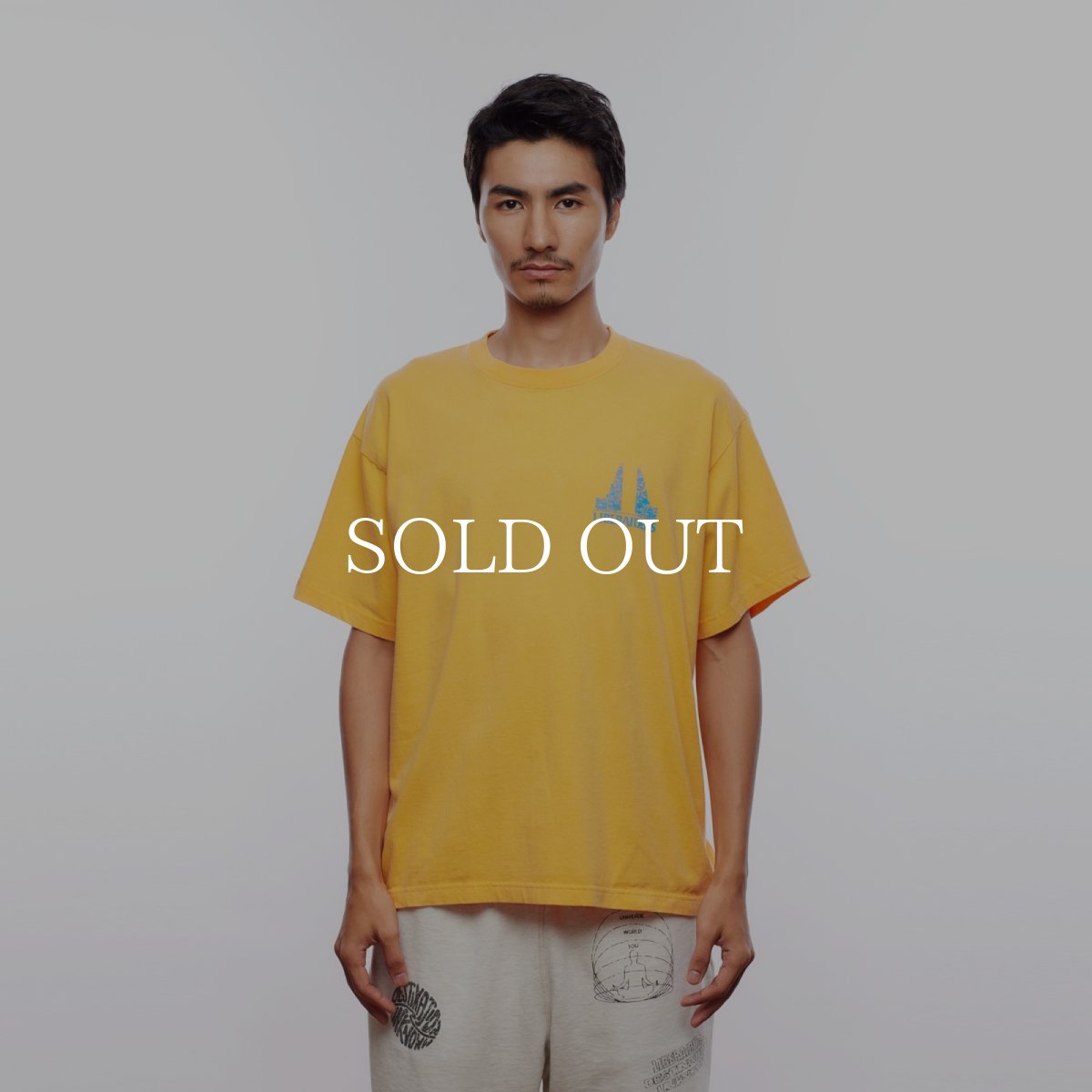 画像22: Liberaiders  CANDI BENTAR TEE (22)