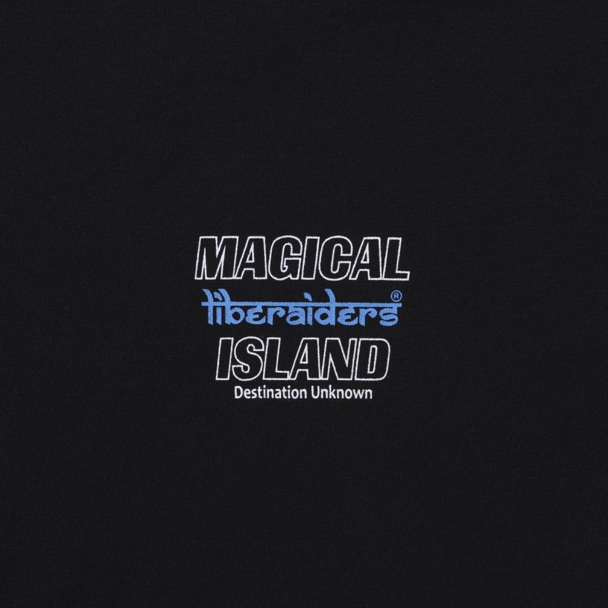 画像13: Liberaiders  COLLAGE TEE (13)