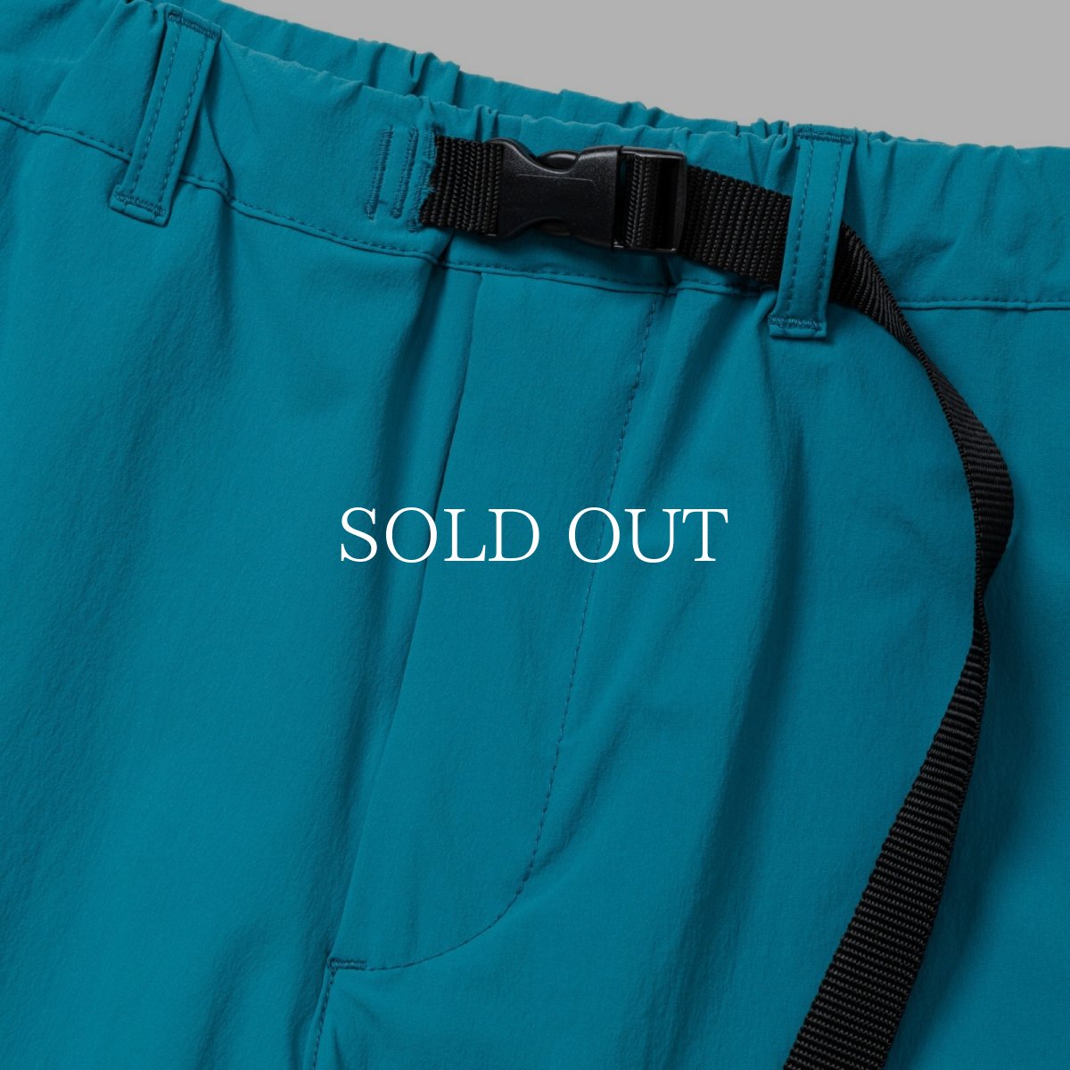 画像4: CALEE  WEATHER CLOTH EASY SHORTS (4)