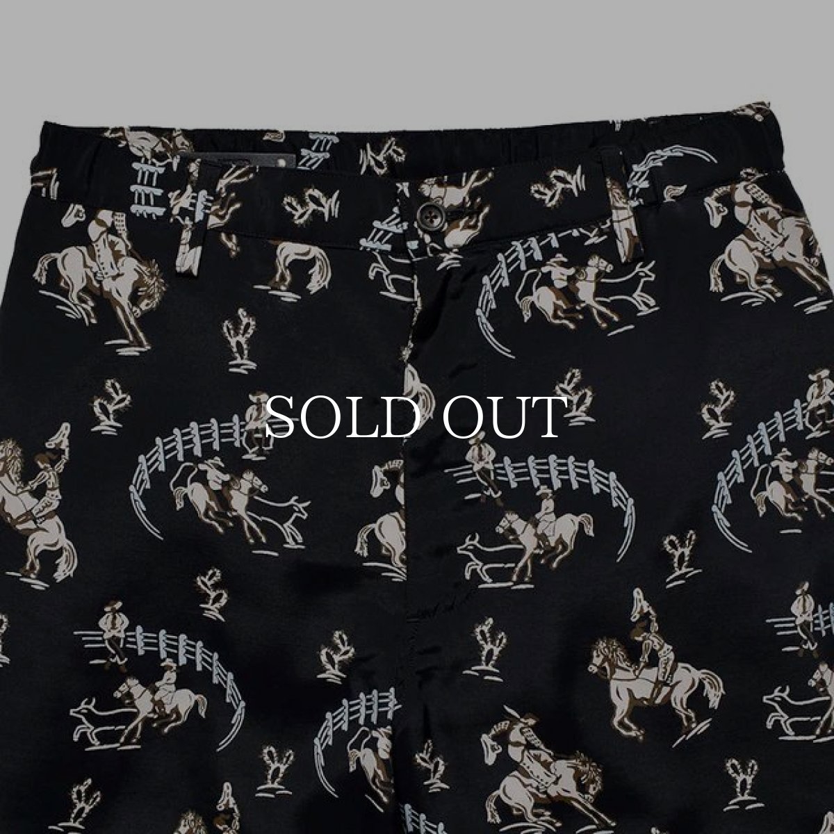 画像3: MINEDENIM  Rodeo Dudes Howdy SPS (3)