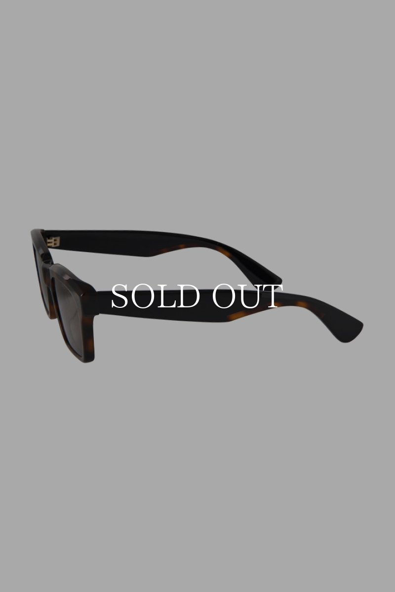 画像3: A.D.S.R.  RICARDO 02 (3)