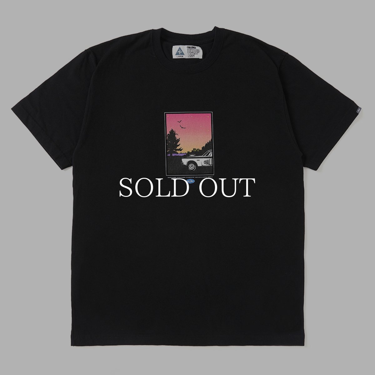 画像4: CHALLENGER  CRUISING TEE (4)