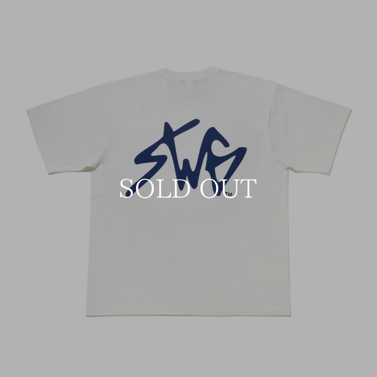 画像1: SWAGGER®  SIGNATURE LOGO T-SHIRT (1)