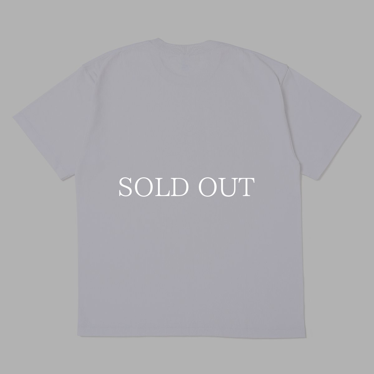 画像2: CHALLENGER  CRUISING TEE (2)