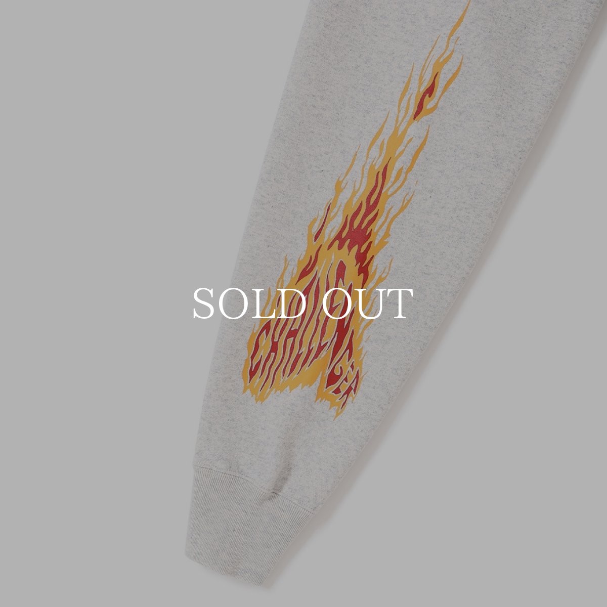 画像5: CHALLENGER  SNAKING LOGO HOODIE (5)