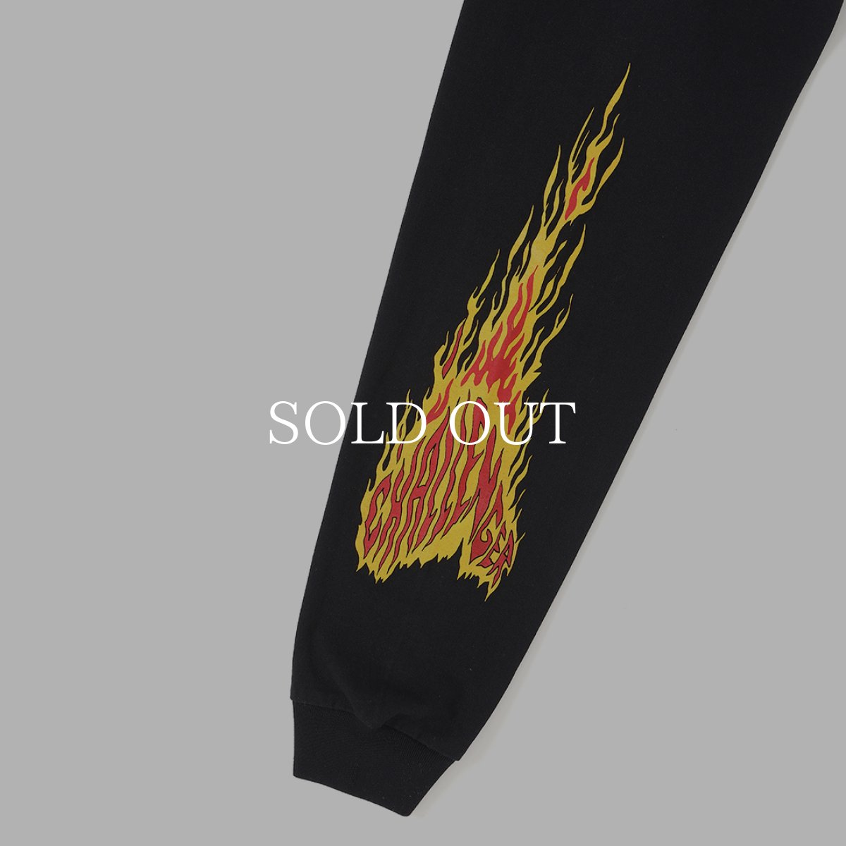 画像6: CHALLENGER  L/S SNAKING LOGO TEE (6)