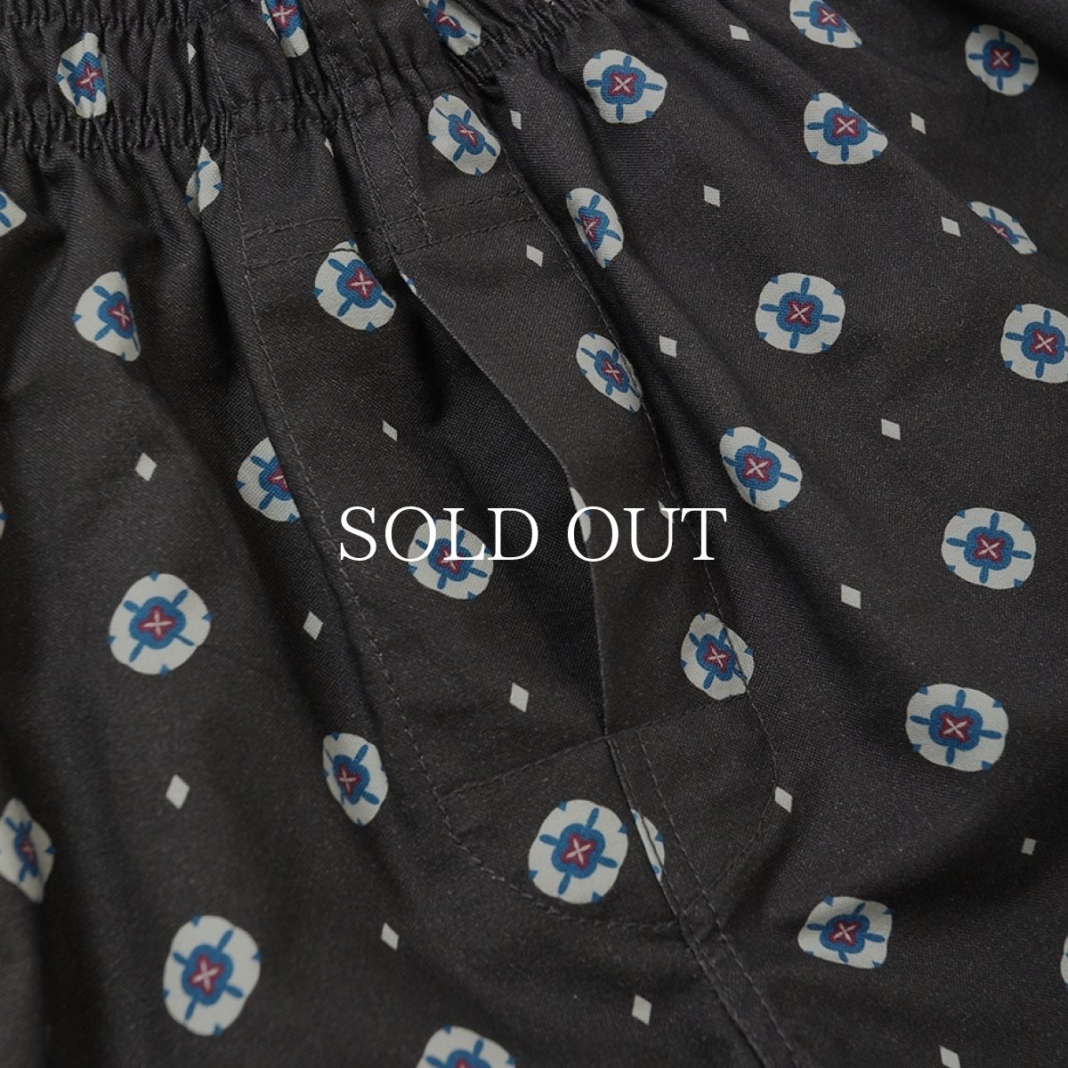 画像5: CHALLENGER  CLASSIC TRUNKS (5)