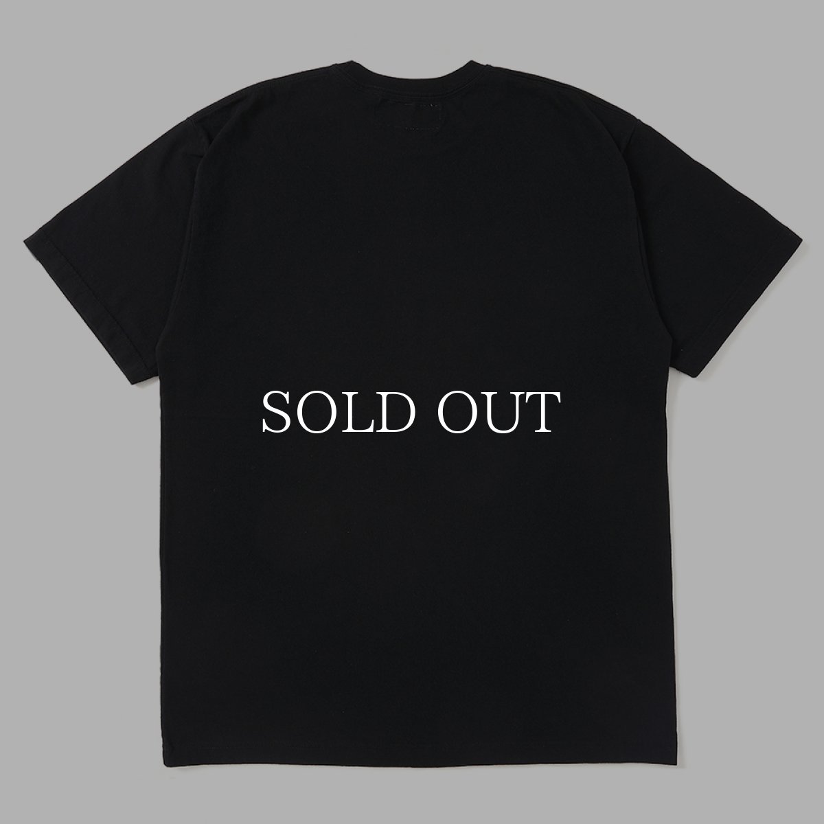 画像2: CHALLENGER  SNAKING TEE (2)