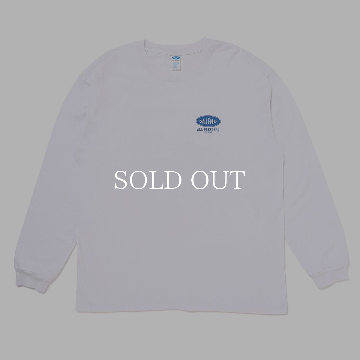 画像7: CHALLENGER  L/S SUNSET DRIVE TEE (7)