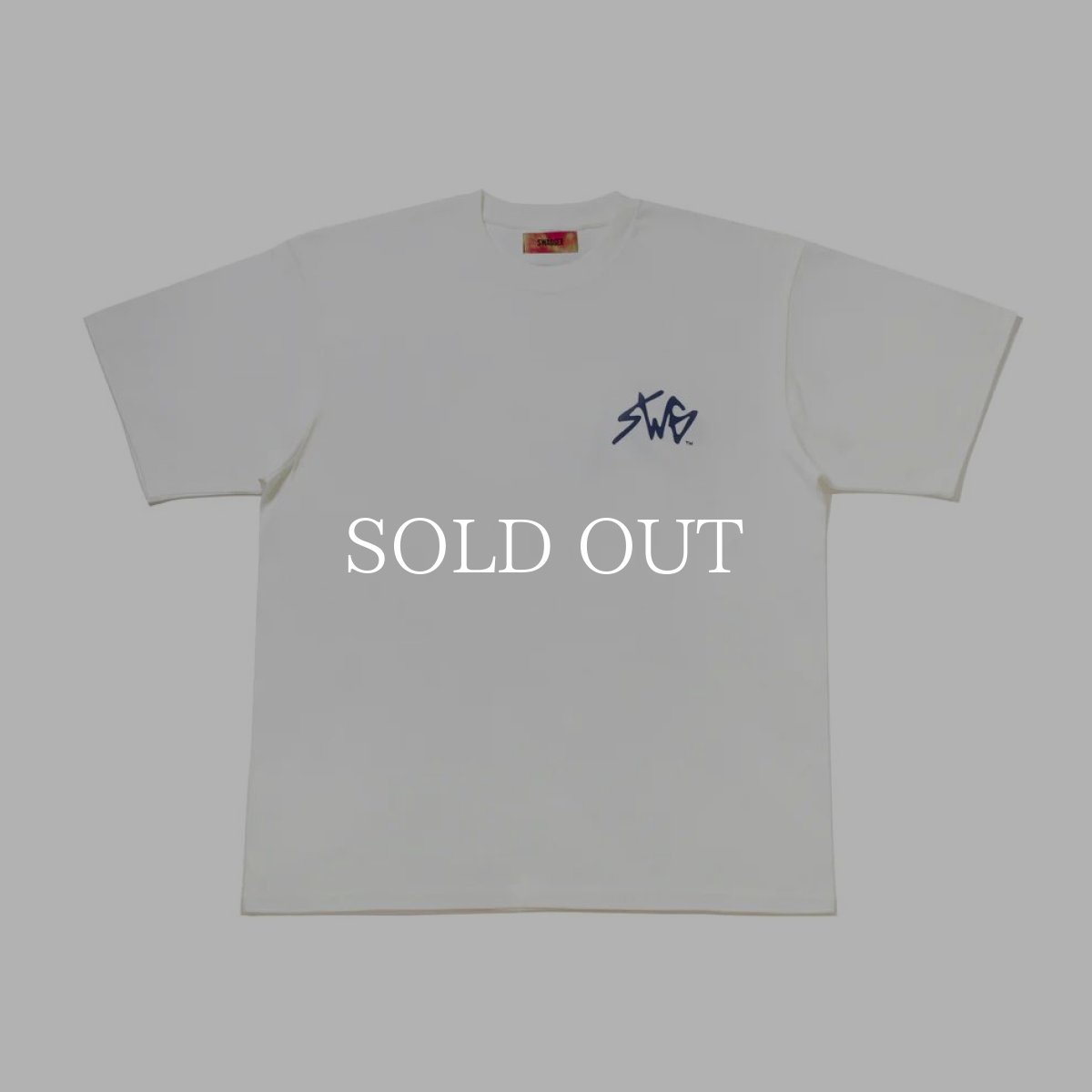 画像2: SWAGGER®  SIGNATURE LOGO T-SHIRT (2)