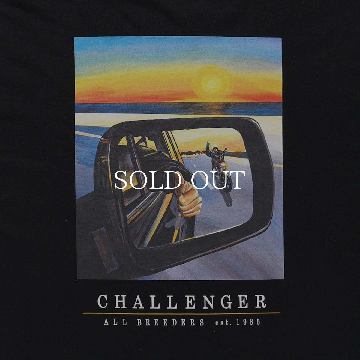 画像4: CHALLENGER  L/S SUNSET DRIVE TEE (4)