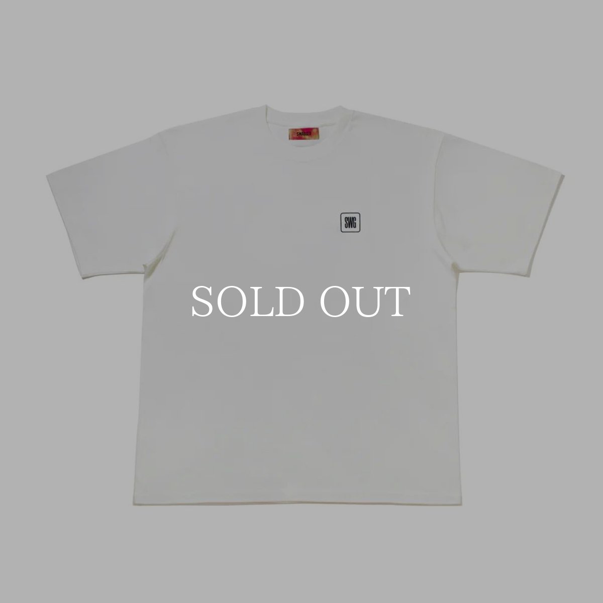 画像6: SWAGGER®  SWG BOX LOGO T-SHIRT (6)