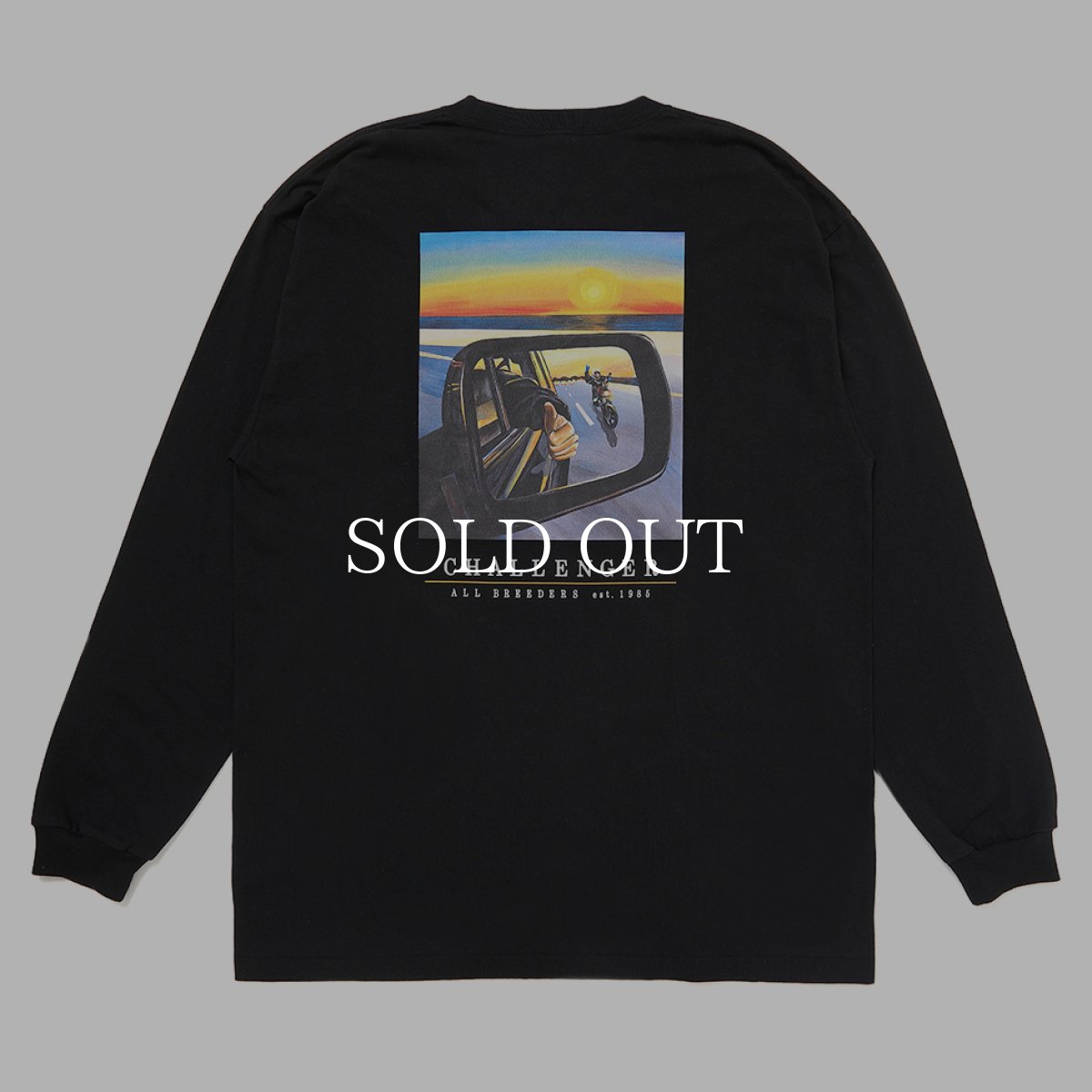 画像1: CHALLENGER  L/S SUNSET DRIVE TEE (1)