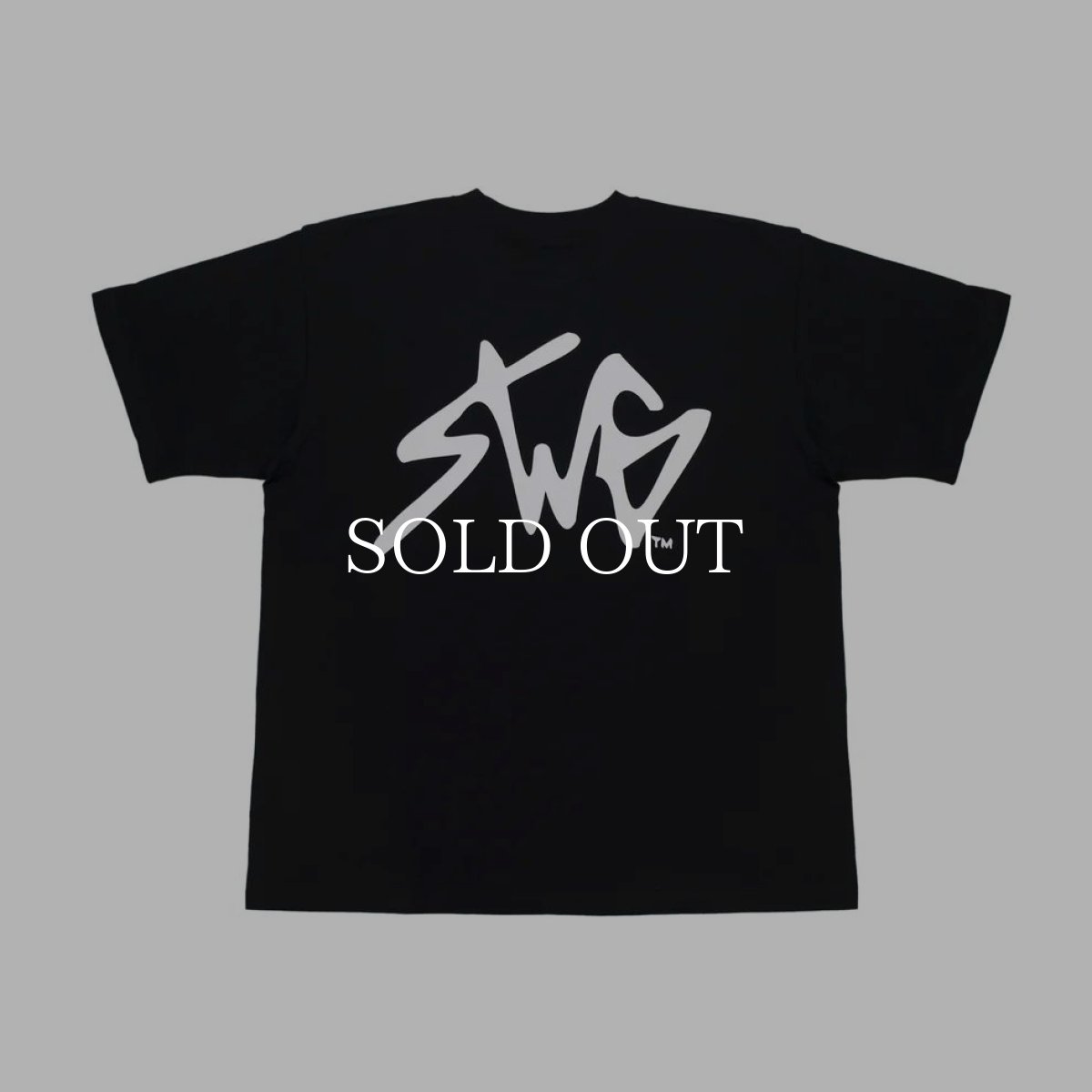 画像5: SWAGGER®  SIGNATURE LOGO T-SHIRT (5)