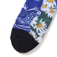 画像5: CHALLENGER  DAISY SOCKS (5)