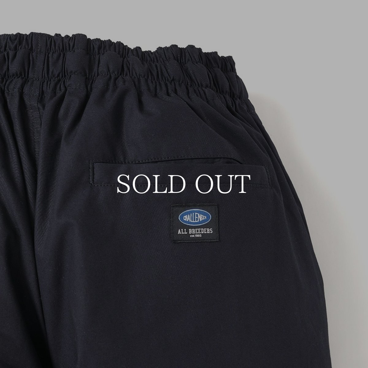 画像6: CHALLENGER  【再入荷】 FIELD EASY PANTS (6)