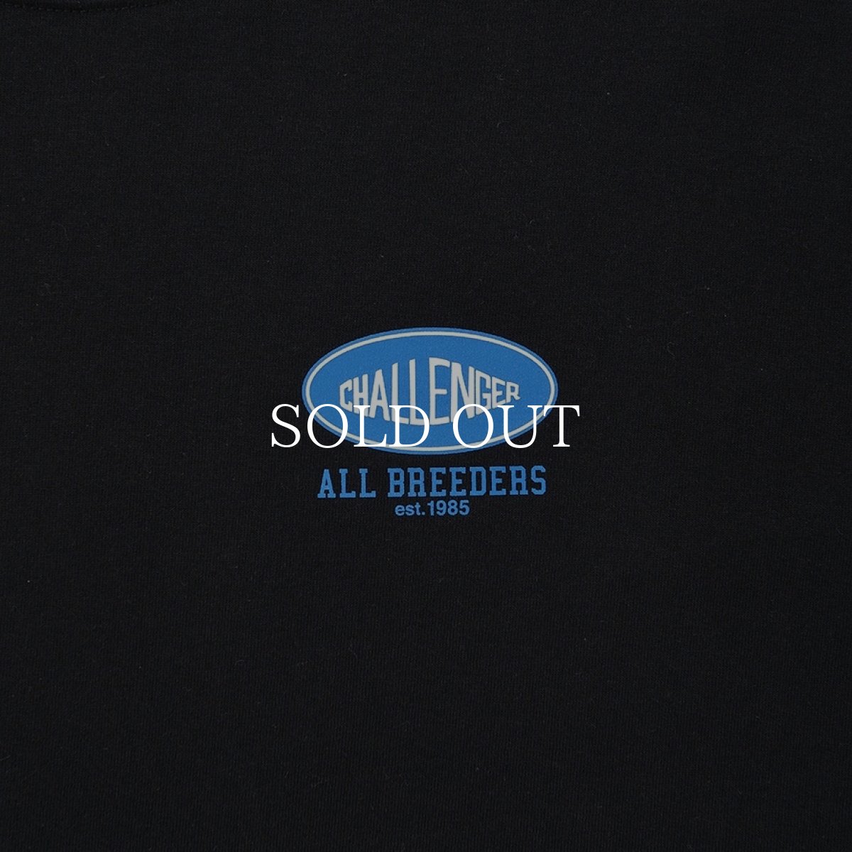 画像5: CHALLENGER  L/S SUNSET DRIVE TEE (5)