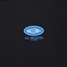 画像5: CHALLENGER  L/S SUNSET DRIVE TEE (5)