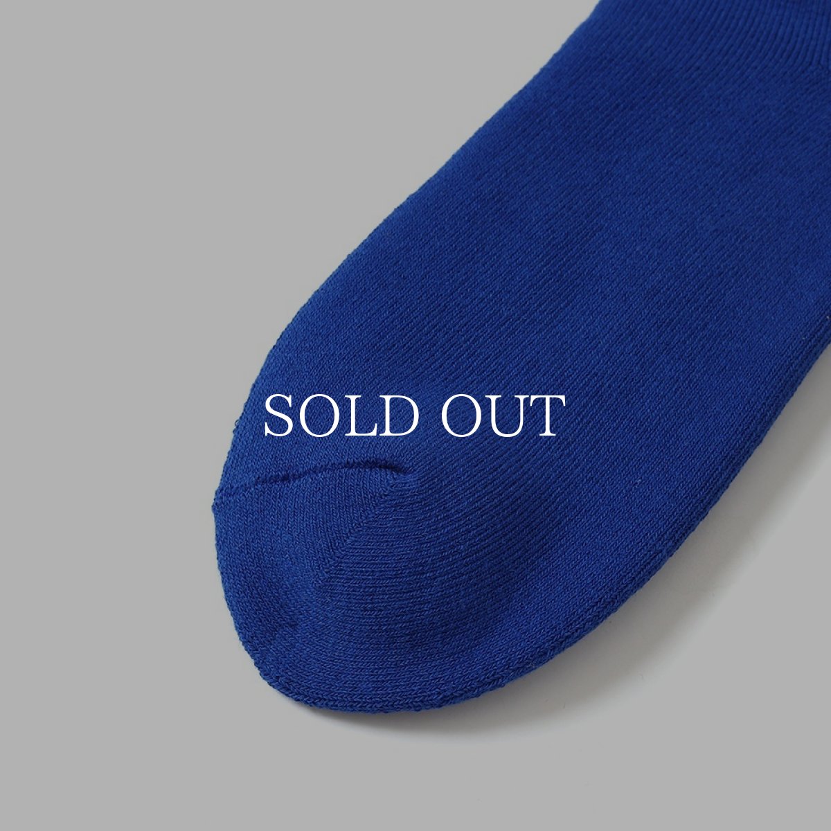 画像4: CHALLENGER  FISH LOGO SOCKS (4)