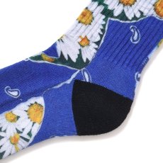 画像4: CHALLENGER  DAISY SOCKS (4)