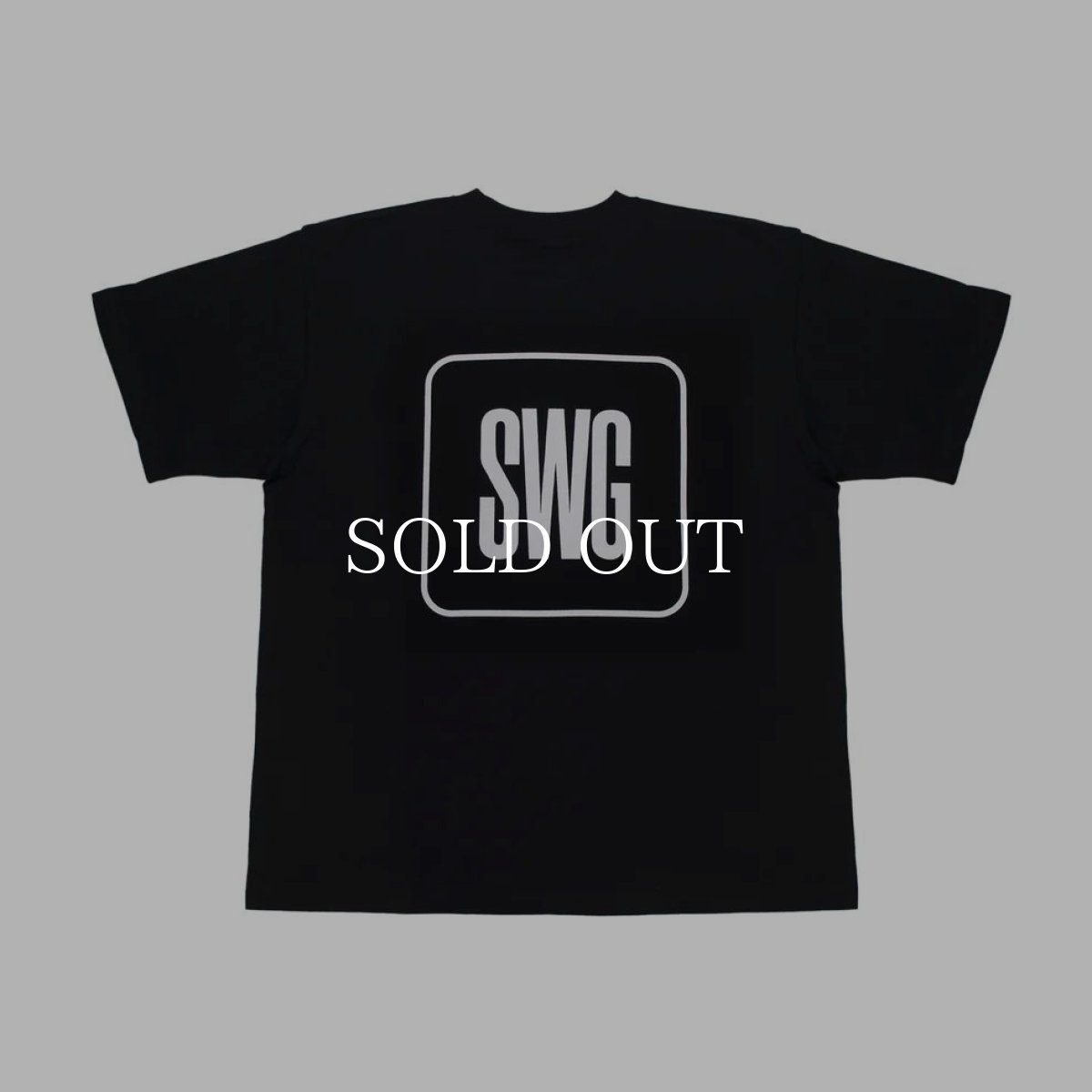 画像1: SWAGGER®  SWG BOX LOGO T-SHIRT (1)