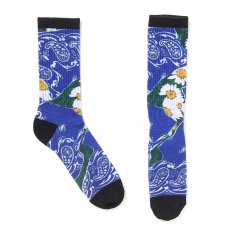 画像6: CHALLENGER  DAISY SOCKS (6)