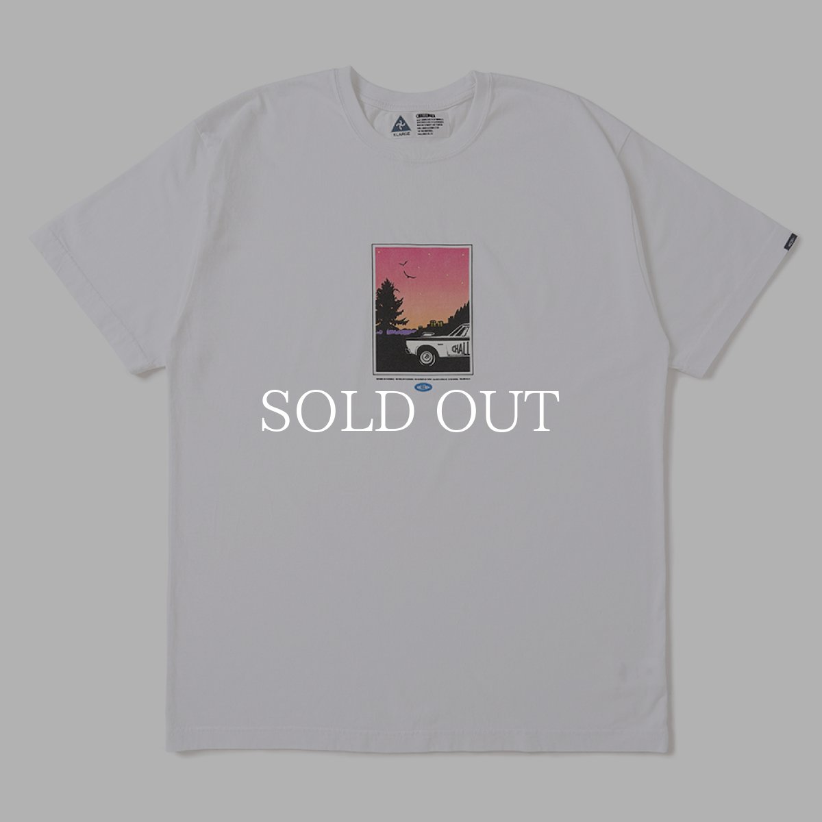 画像1: CHALLENGER  CRUISING TEE (1)