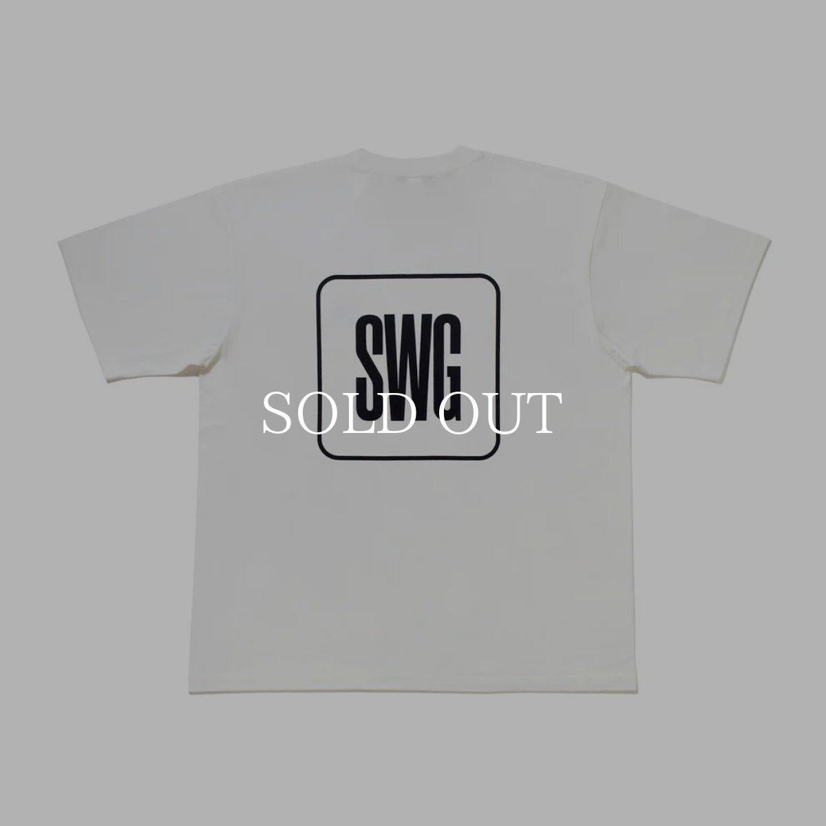 画像5: SWAGGER®  SWG BOX LOGO T-SHIRT (5)