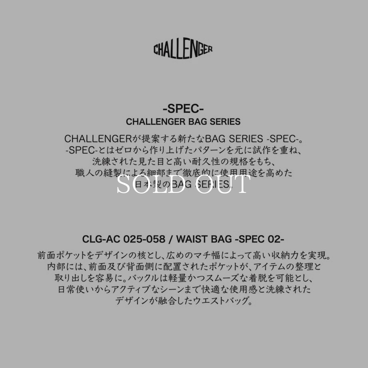 画像9: CHALLENGER  BACK PACK - SPEC 01- (9)