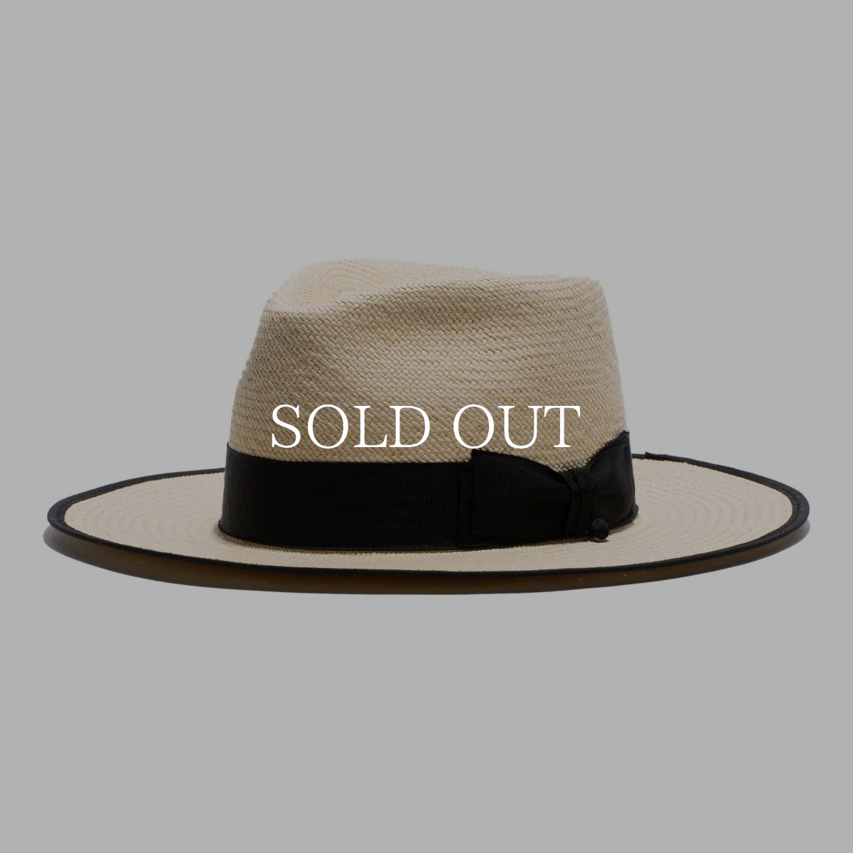 画像1: THE H.W.DOG&CO.  POINT PANAMA G3 HAT (1)