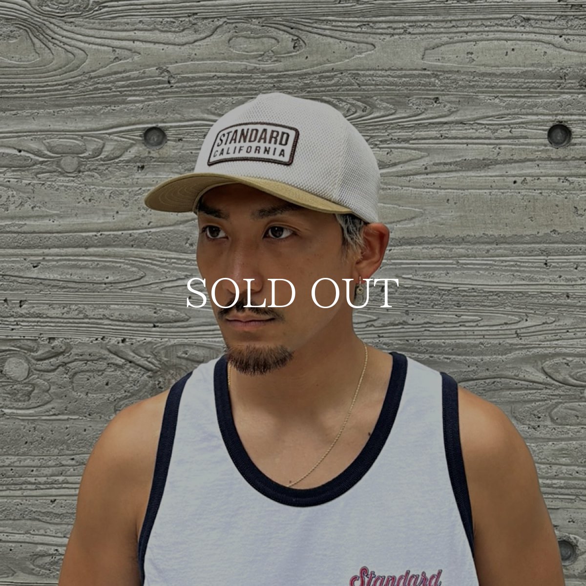 画像9: STANDARD CALIFORNIA  SD Box Logo Patch All Mesh Cap (9)