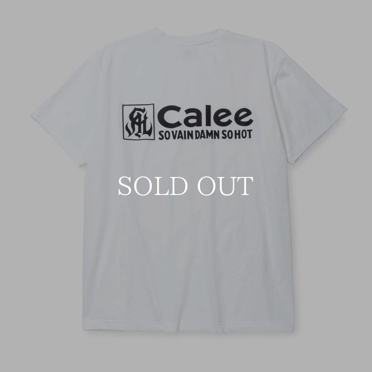 画像4: CALEE  STRETCH CAL NT LOGO TEE ＜NATURALLY PAINT DESIGN＞ (4)