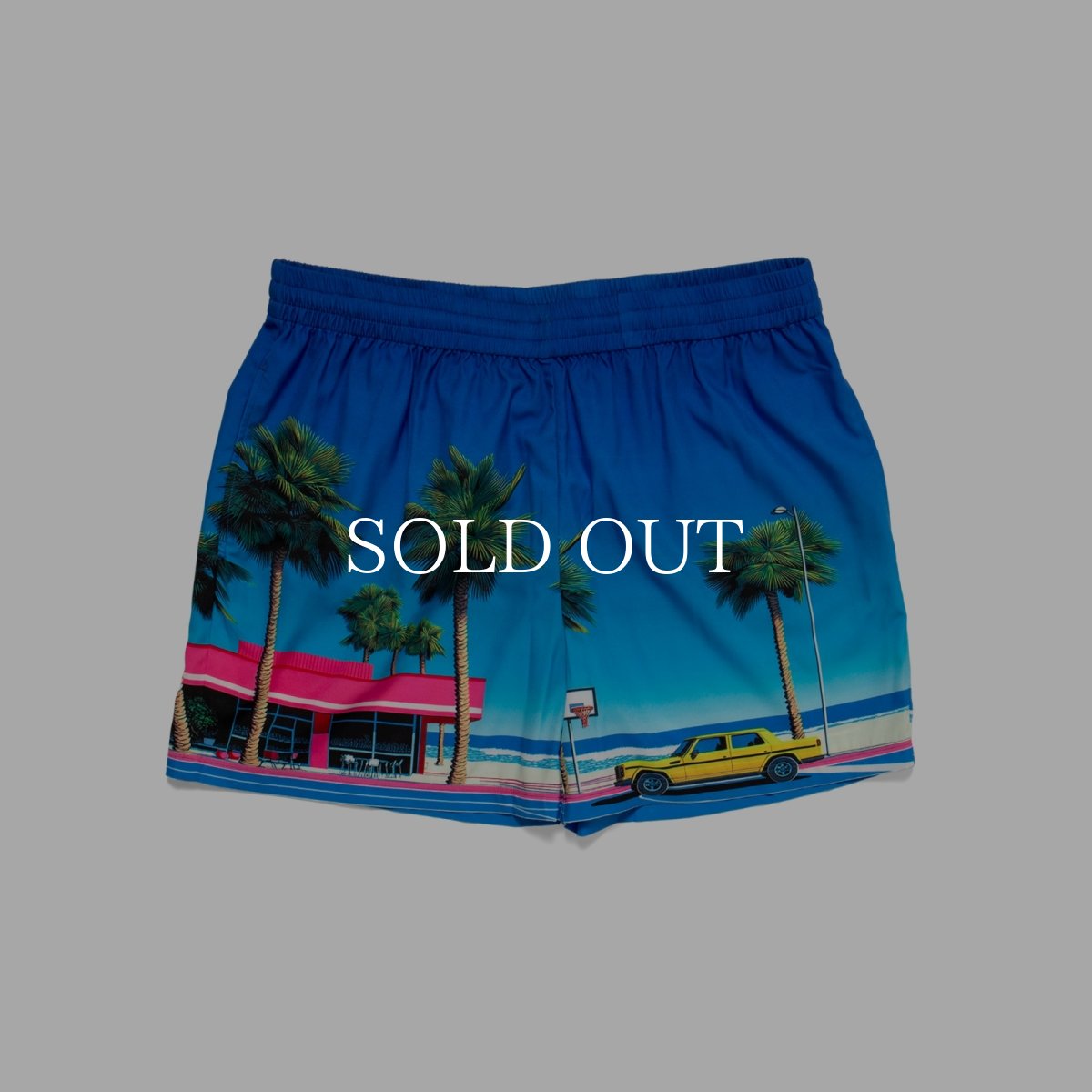 画像1: APPLEBUM  "Seaside Basketball Court” Swim Shorts (1)