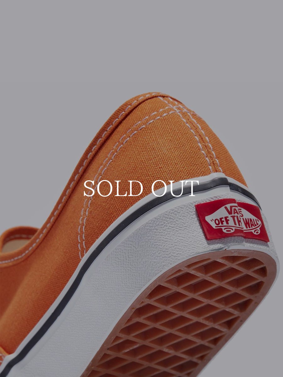 画像5: VANS  Authentic (5)