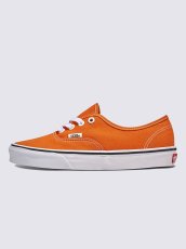 画像1: VANS  Authentic (1)