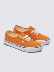 画像2: VANS  Authentic (2)