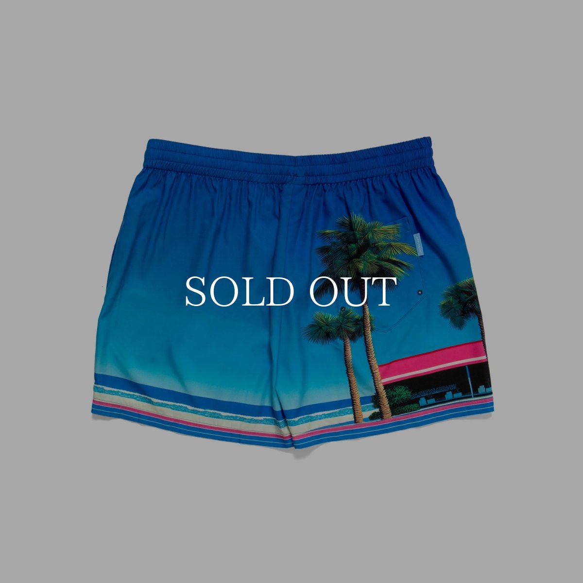 画像2: APPLEBUM  "Seaside Basketball Court” Swim Shorts (2)