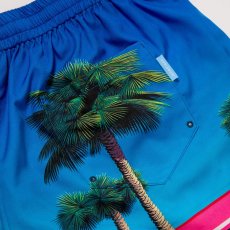 画像5: APPLEBUM  "Seaside Basketball Court” Swim Shorts (5)