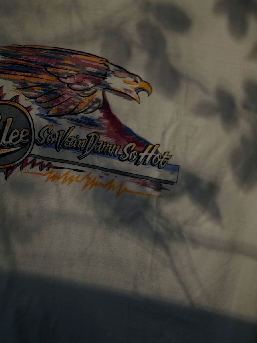 画像4: CALEE  BINDER NECK EAGLE LOGO VINTAGE TEE ＜NATURALLY PAINT DESIGN＞ (4)