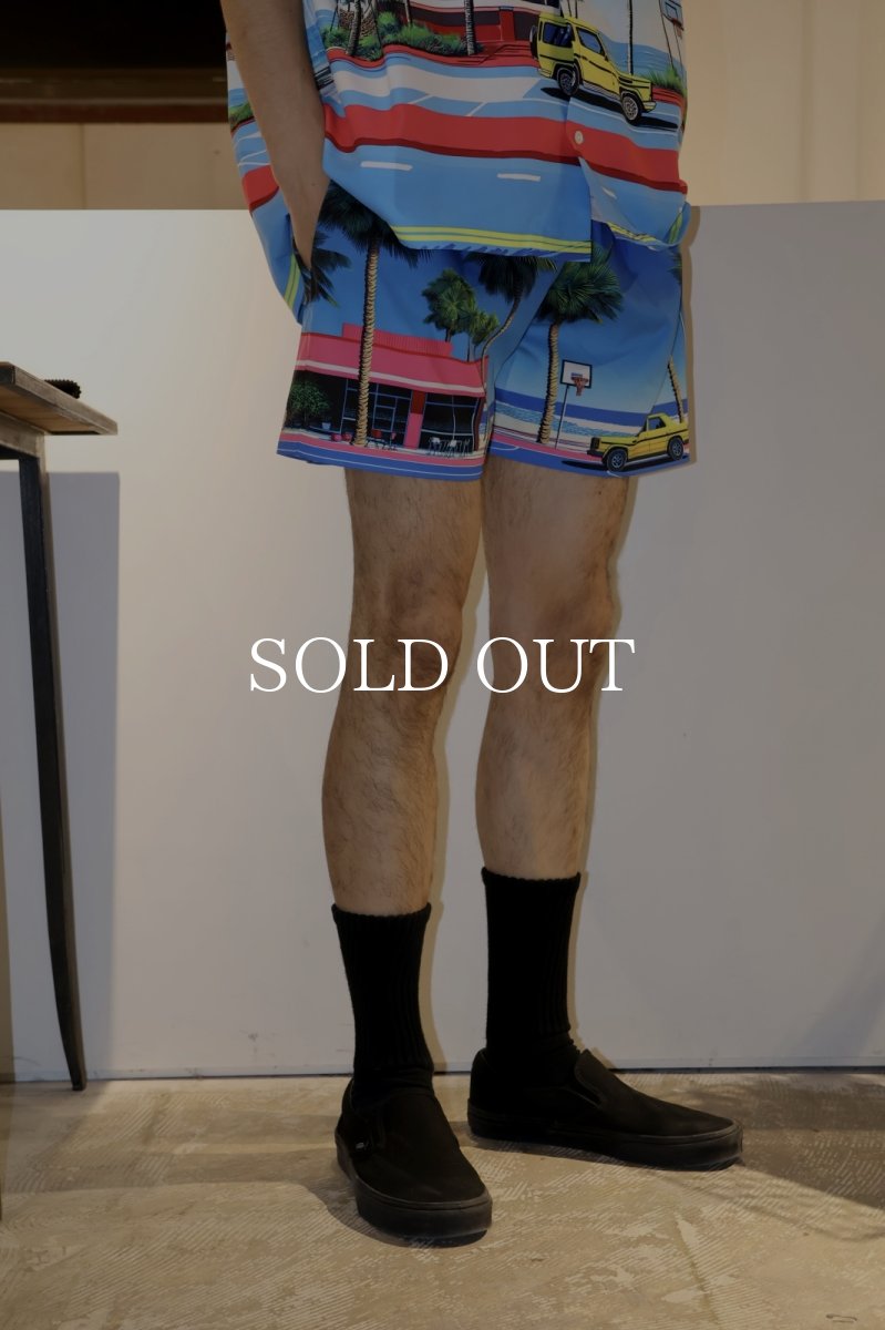 画像6: APPLEBUM  "Seaside Basketball Court” Swim Shorts (6)