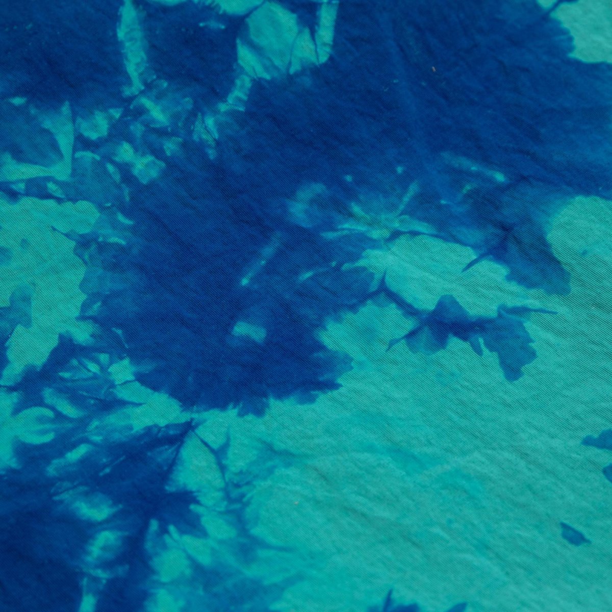 画像5: APPLEBUM  Nylon Shorts [TiEDYE FREAK] (5)