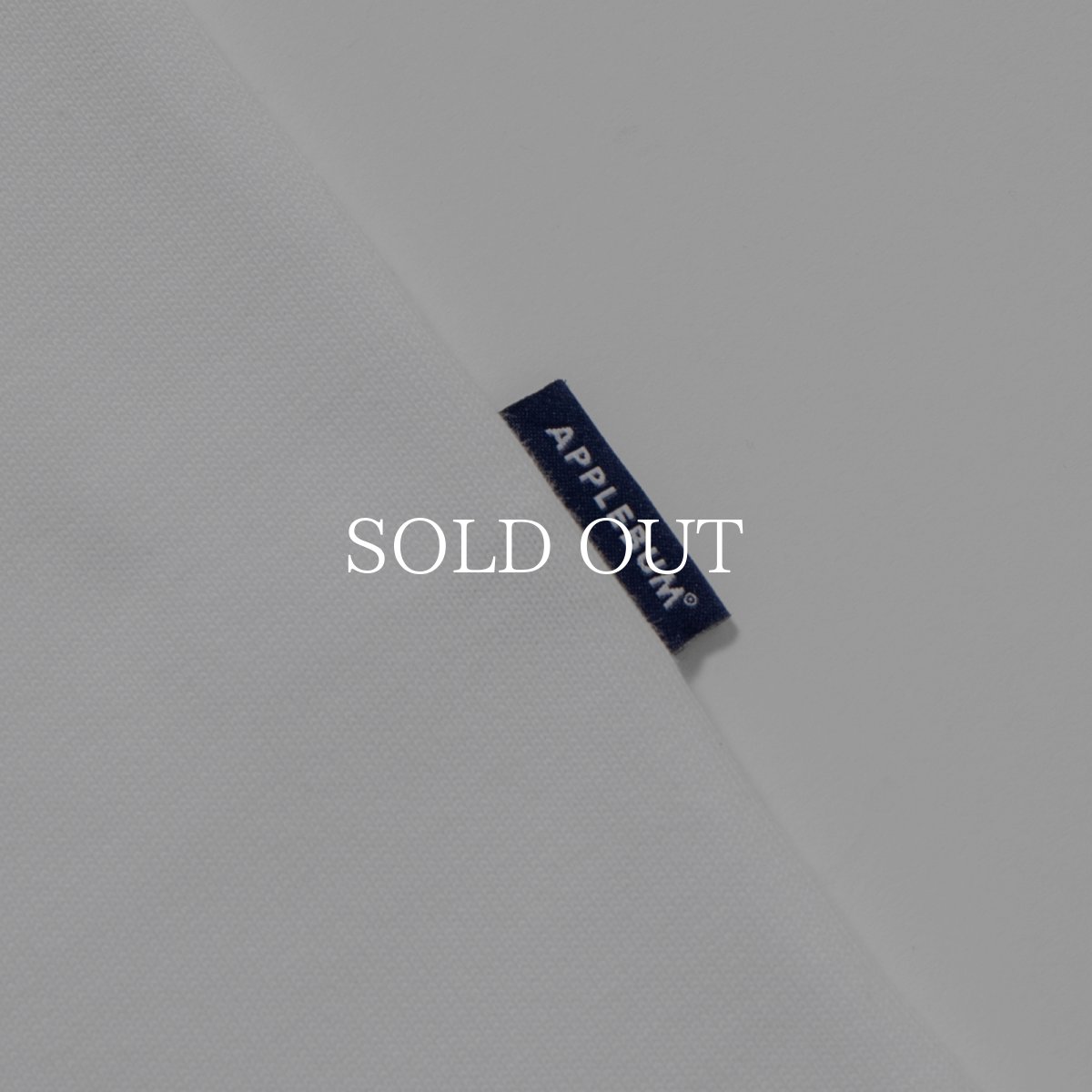 画像5: APPLEBUM  “Light It Up” T-shirt (5)