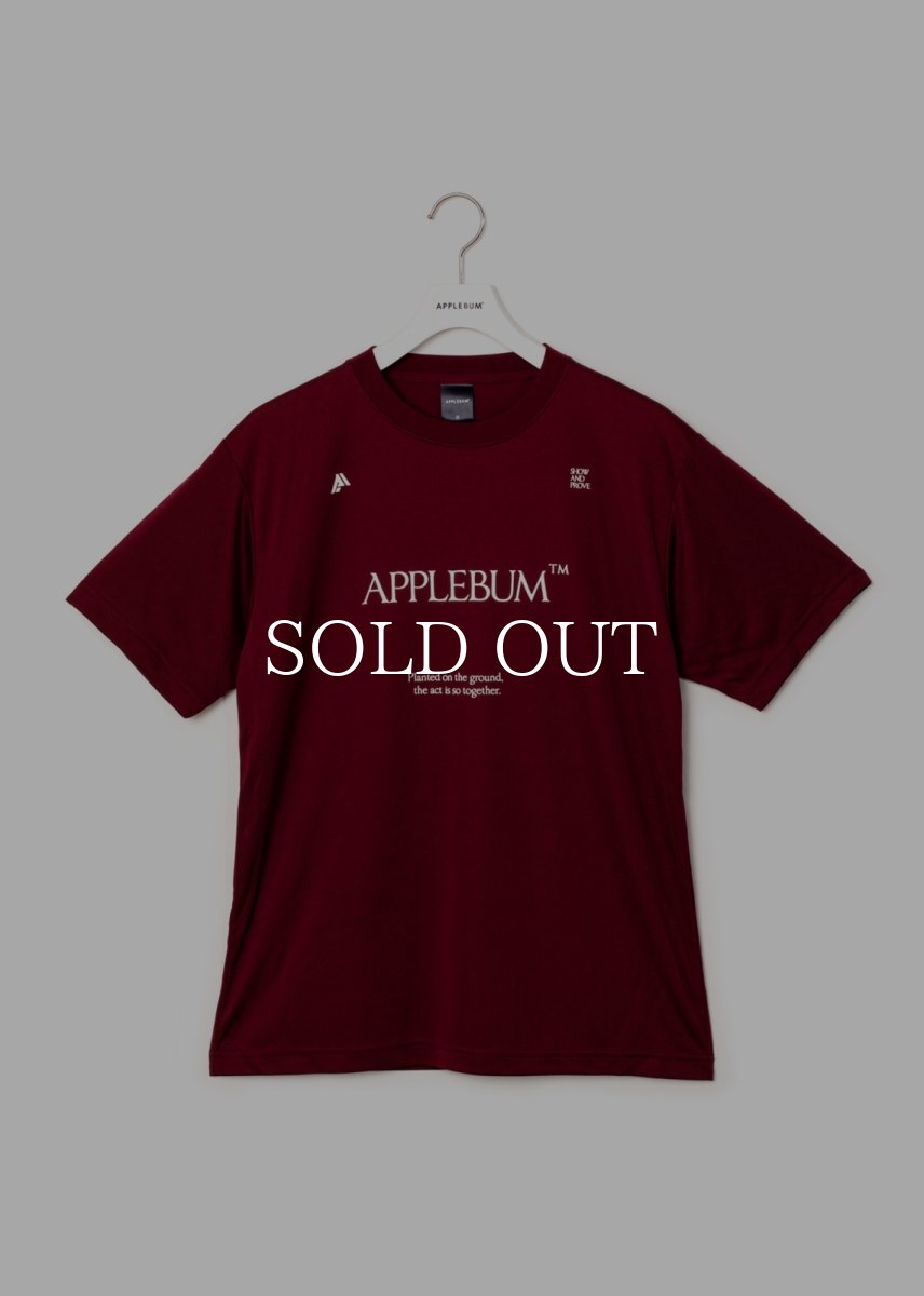 画像13: APPLEBUM  Logo Dry T-shirt (13)