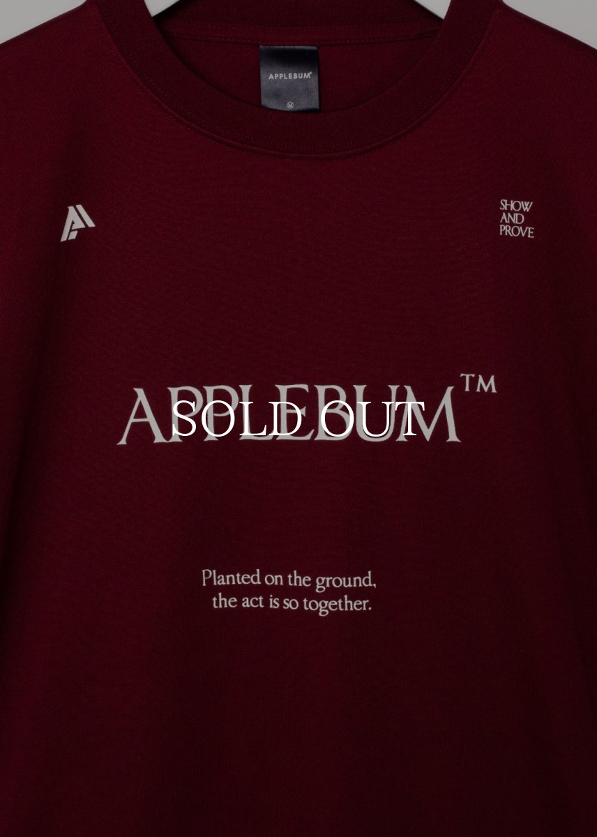 画像15: APPLEBUM  Logo Dry T-shirt (15)
