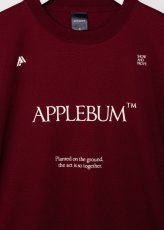 画像15: APPLEBUM  Logo Dry T-shirt (15)