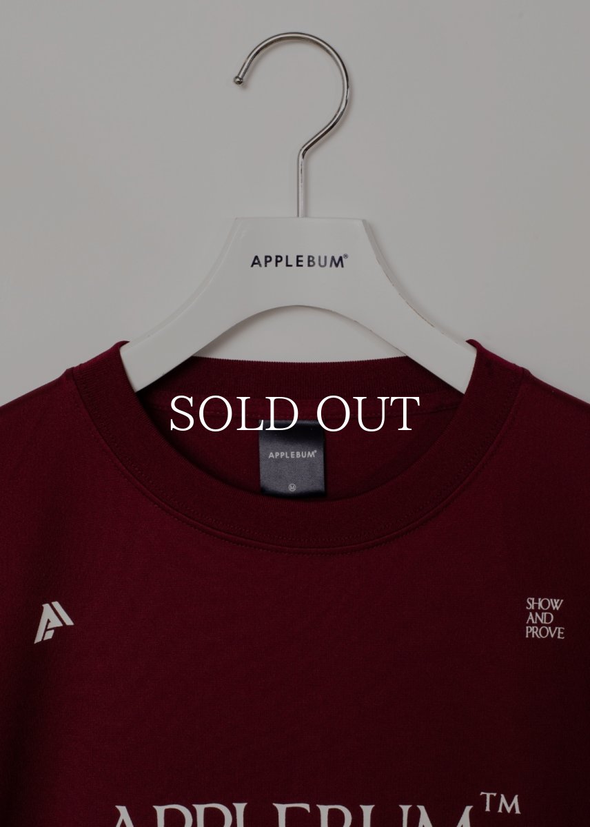 画像17: APPLEBUM  Logo Dry T-shirt (17)