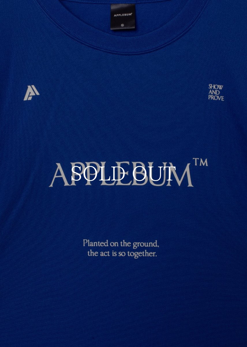 画像20: APPLEBUM  Logo Dry T-shirt (20)